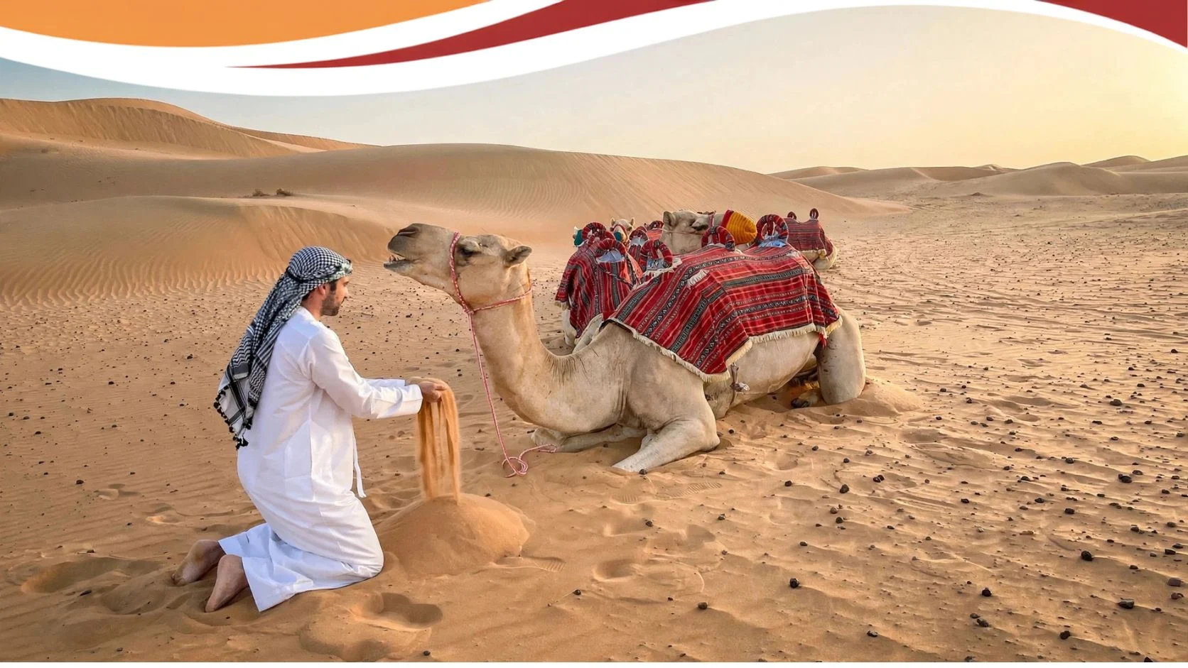 Tour Dromedarius & Huacachina con sunset