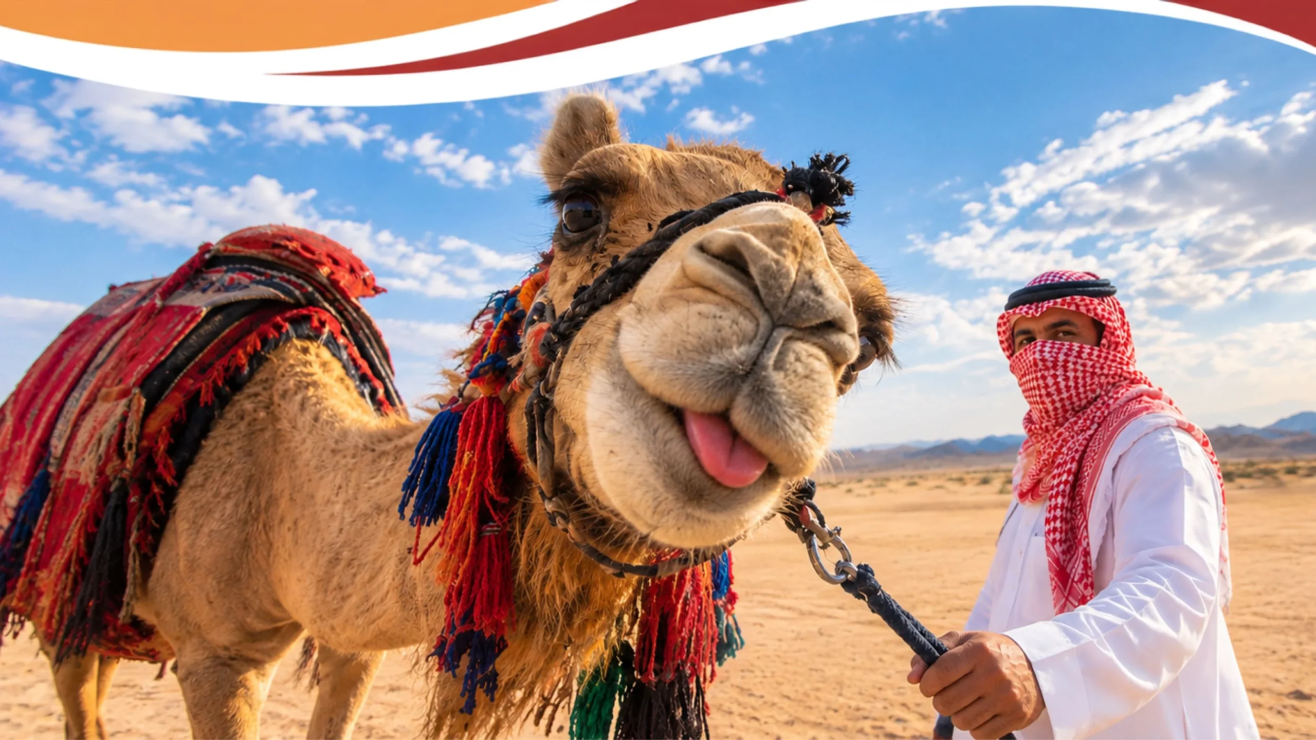 Tour Dromedarios Huacachina con Sunset | Paseo en Dromedario + Tubulares | Desde $/150