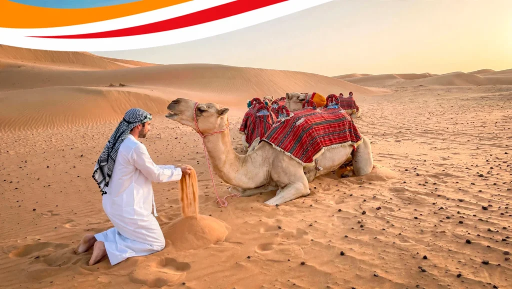 Tour Dromedarius & Huacachina con sunset