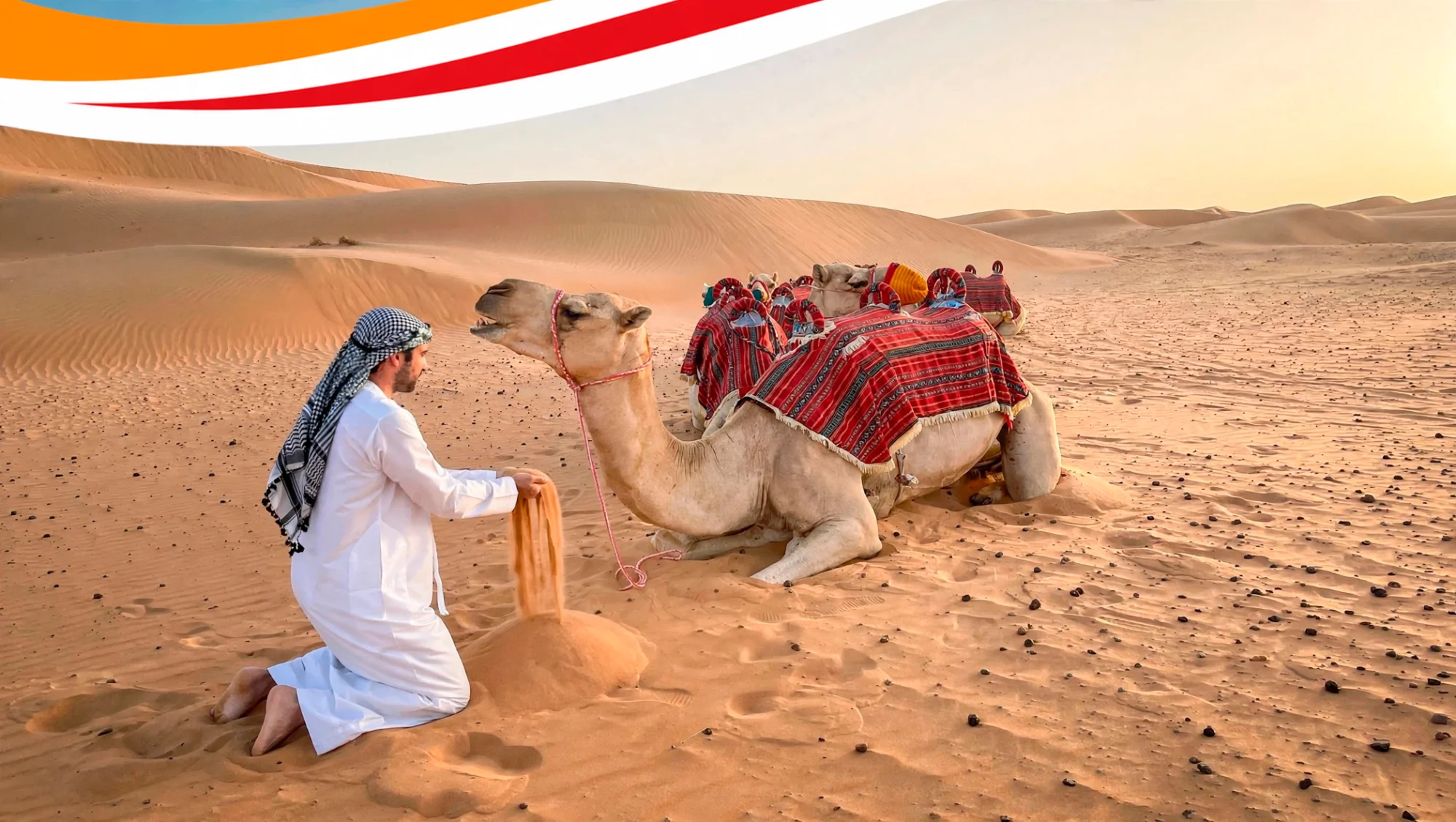 Tour Dromedarius & Huacachina con sunset