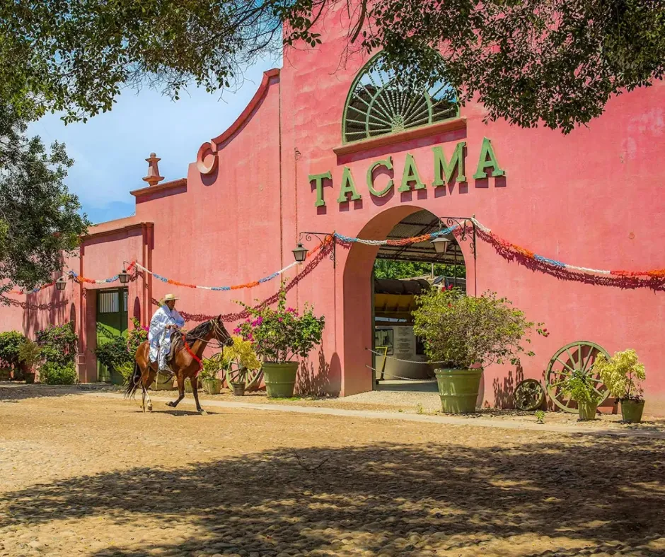 Viñedos Tacama