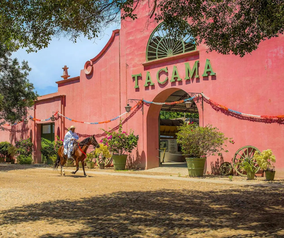 Viñedos Tacama